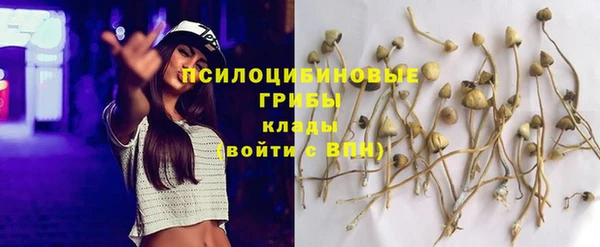 дмт Алзамай